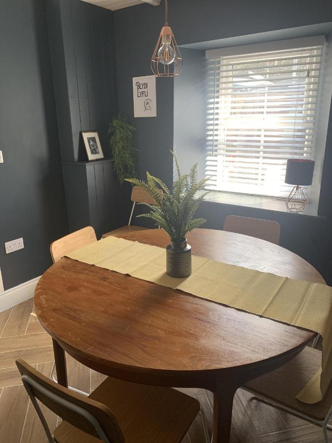 Min-Y-Fford Sleeps 6 Plus Pet Newport  Exteriör bild